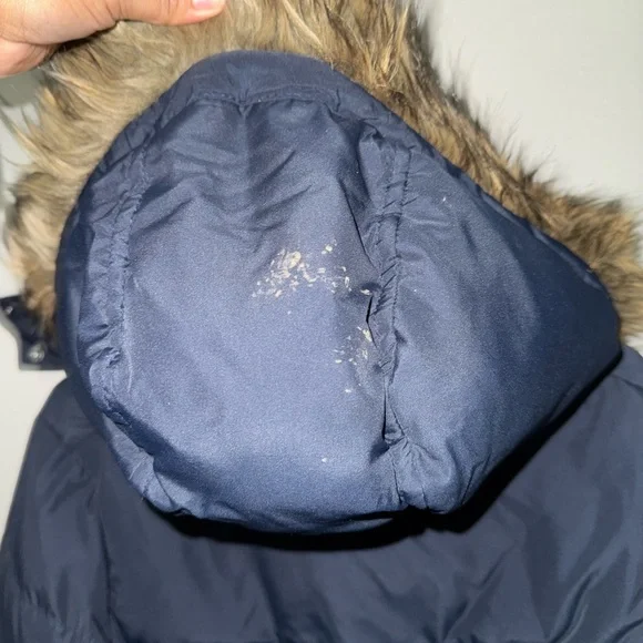 Hollister parka - Picture 6 of 7